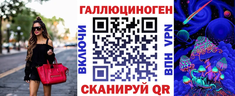 Псилоцибиновые грибы Psilocybe  Курчалой 
