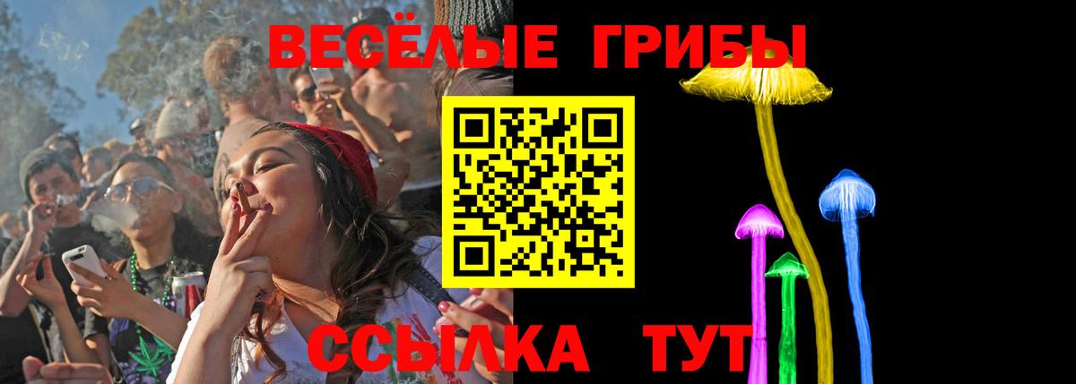 Псилоцибиновые грибы Magic Shrooms Курчалой