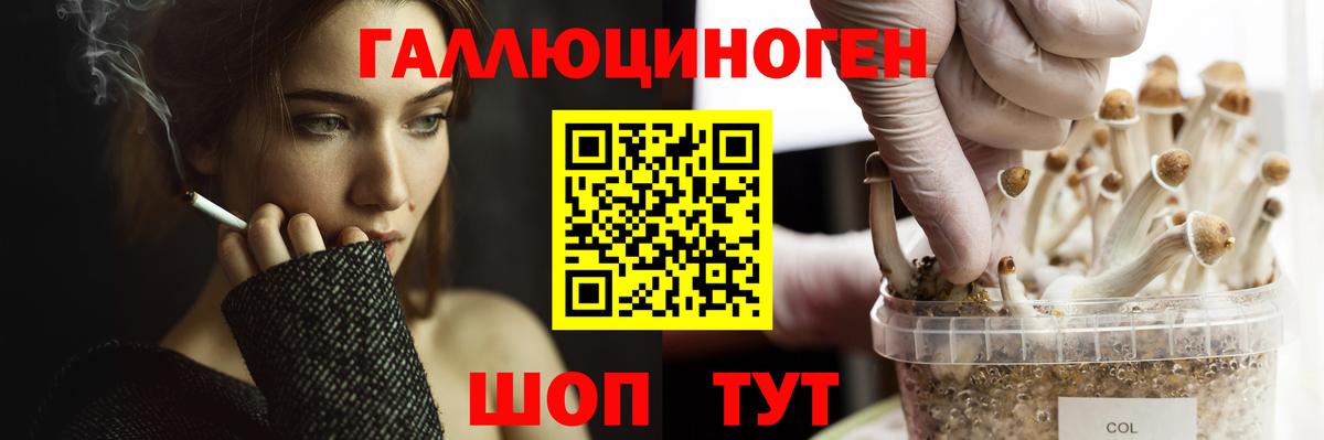 Галлюциногенные грибы прущие грибы  Вход с VPN  Галлюциногенные грибы прущие грибы  Курчалой 